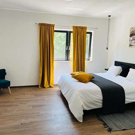 Vila Prisunca Jacuzzi & Swimming Pool Pazin Eksteriør billede