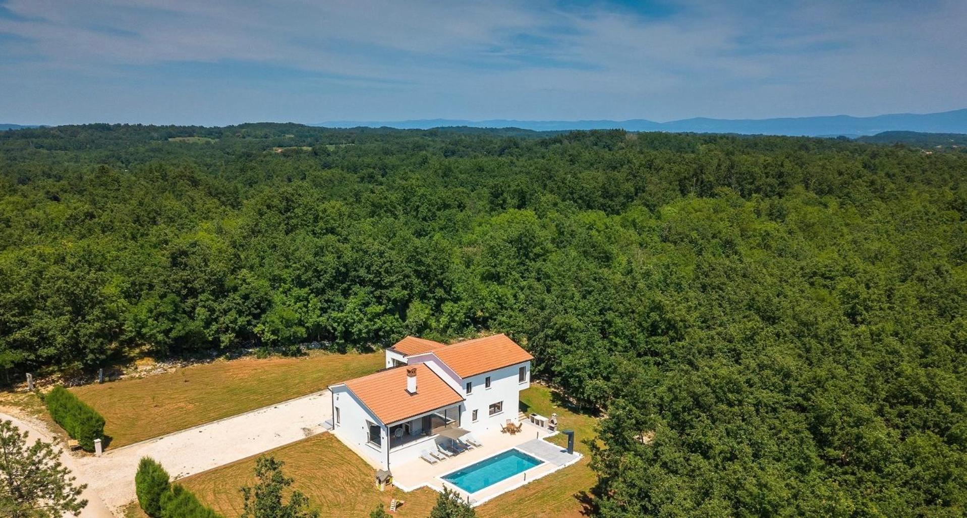 Vila Prisunca Jacuzzi & Swimming Pool Pazin Eksteriør billede
